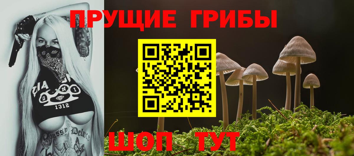 Десногорск  Галлюциногенные грибы мицелий  Вход с VPN  купить  сайты  Галлюциногенные грибы Cubensis 
