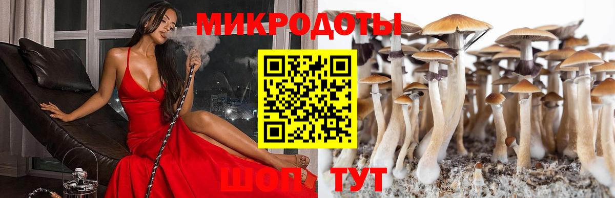 Псилоцибиновые грибы Cubensis Десногорск